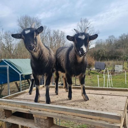 La Colongere Villa Reclesne Bagian luar foto